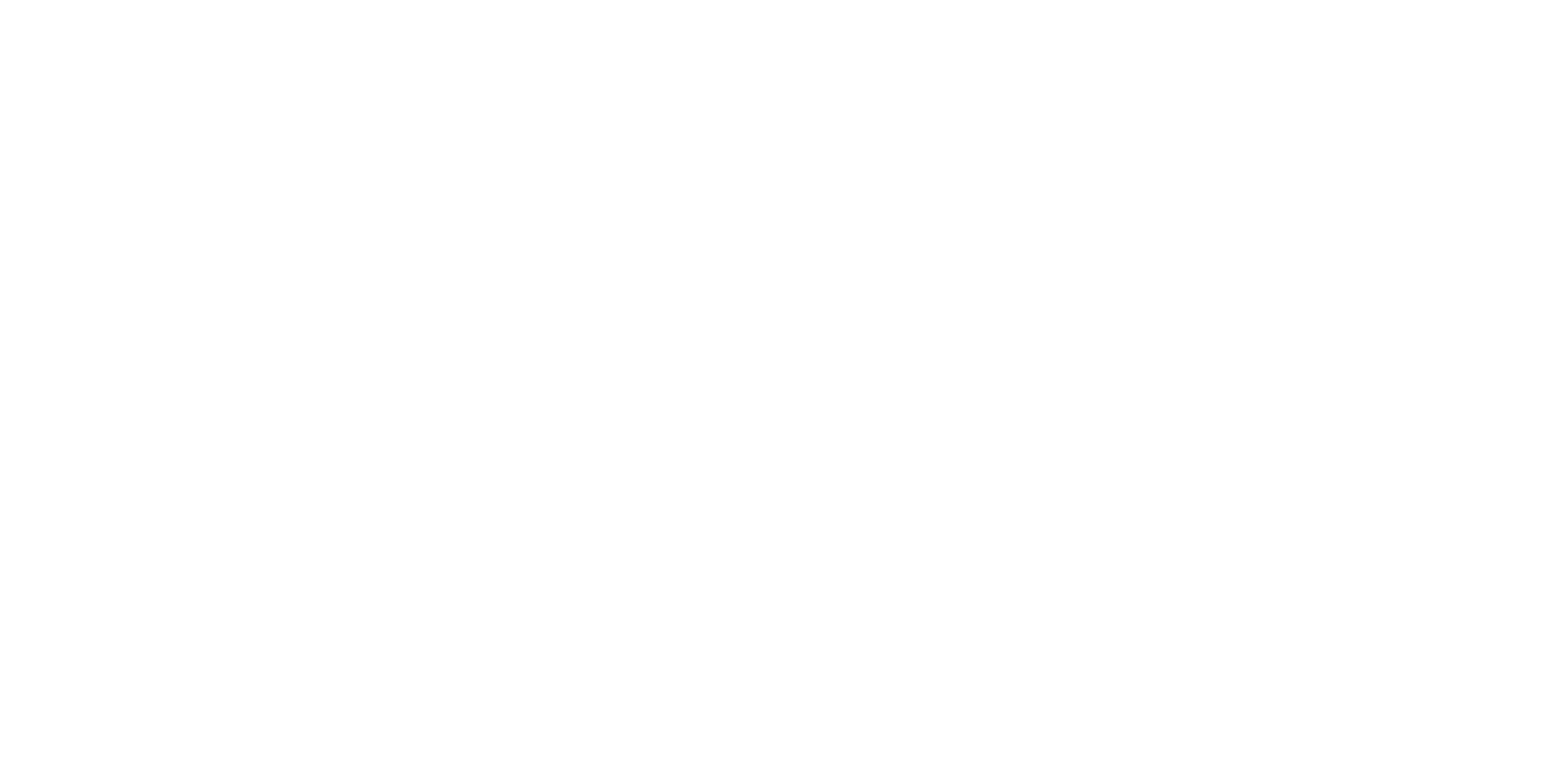 Texas Department of Information Resources logo